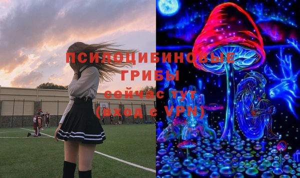 apvp Михайловка