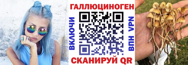 Псилоцибиновые грибы Psilocybe наркотики Балашиха