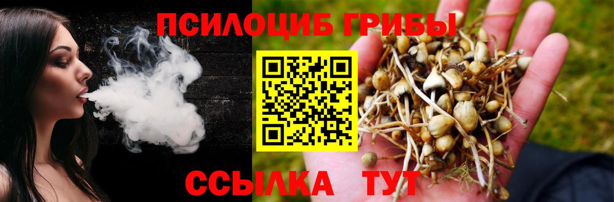 Псилоцибиновые грибы GOLDEN TEACHER  Балашиха 