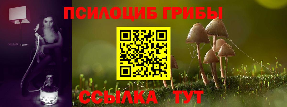 Балашиха  Галлюциногенные грибы Psilocybine cubensis  Вход с VPN  Псилоцибиновые грибы Cubensis 